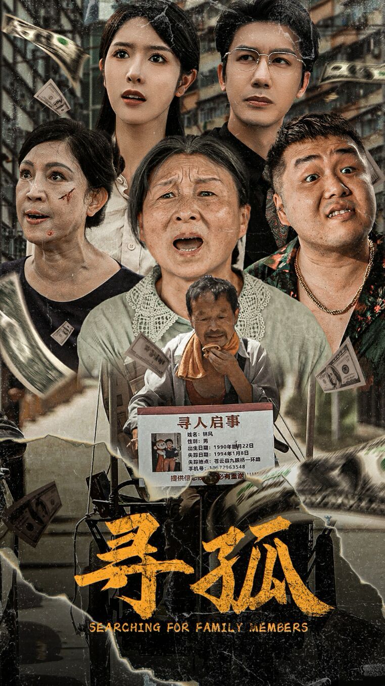 寻孤 第61-78集完结(大结局)