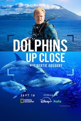 摄影师贝尔蒂与海豚零距离(全集)