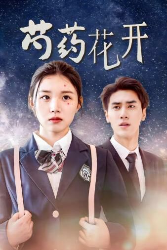 芍药花开（火光中的芍药花） 第1-20集