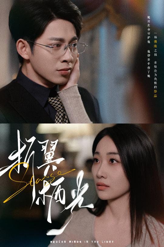 折翼栖光 第21-43集完结(大结局)