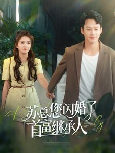 苏总您闪婚了首富继承人 第21-40集