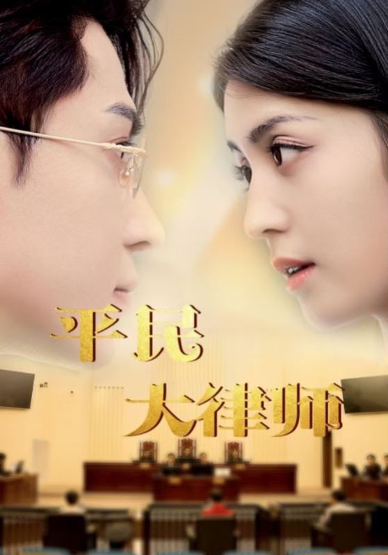 平民大律师 第81-95集完结(大结局)