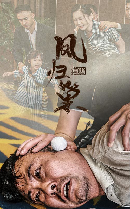 新版：凤归巢 第21-40集