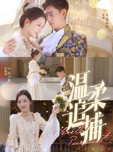 温柔追捕 第1-20集