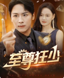 至尊狂少 第21-40集