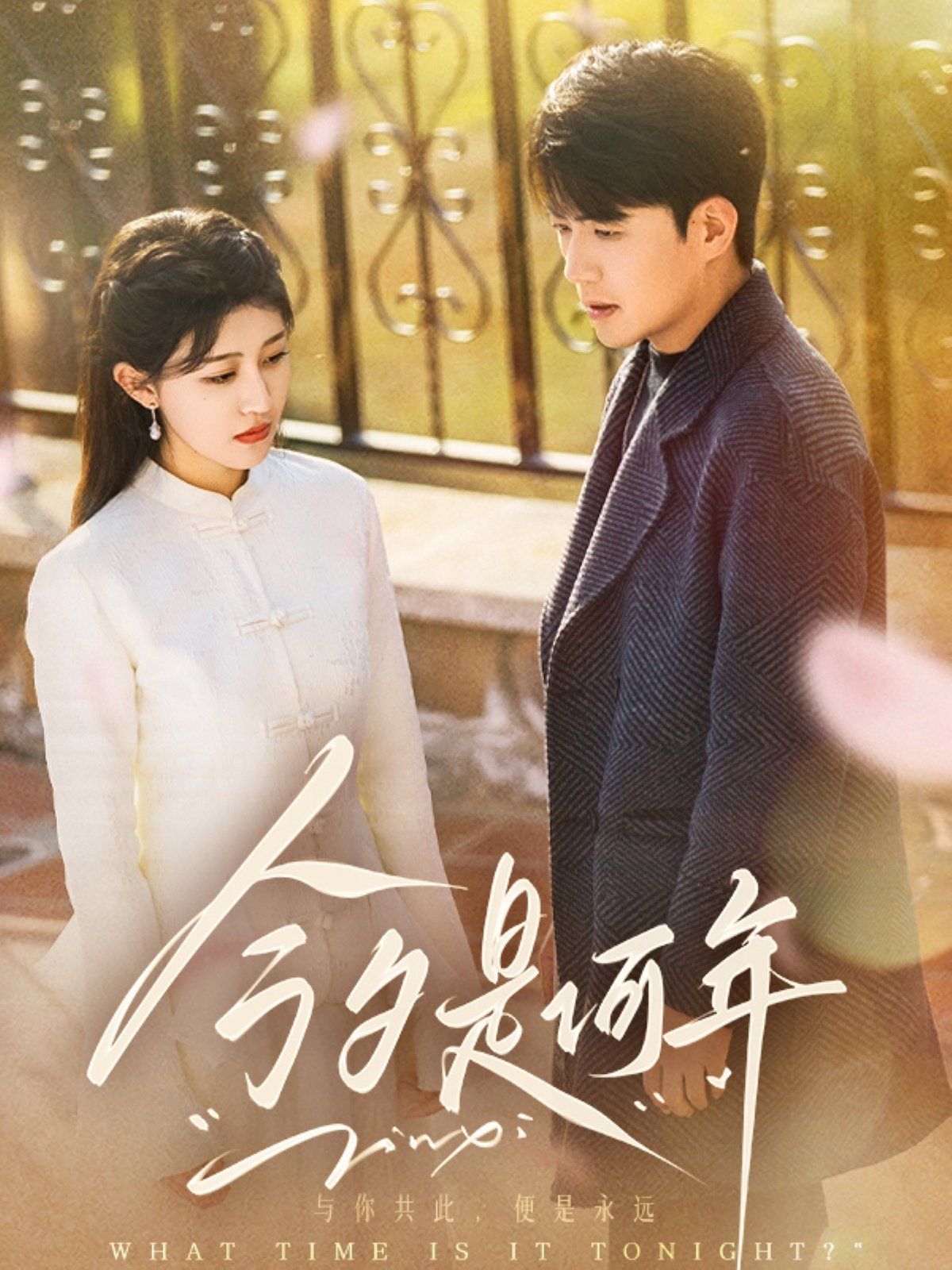 今夕是何年 第21-40集