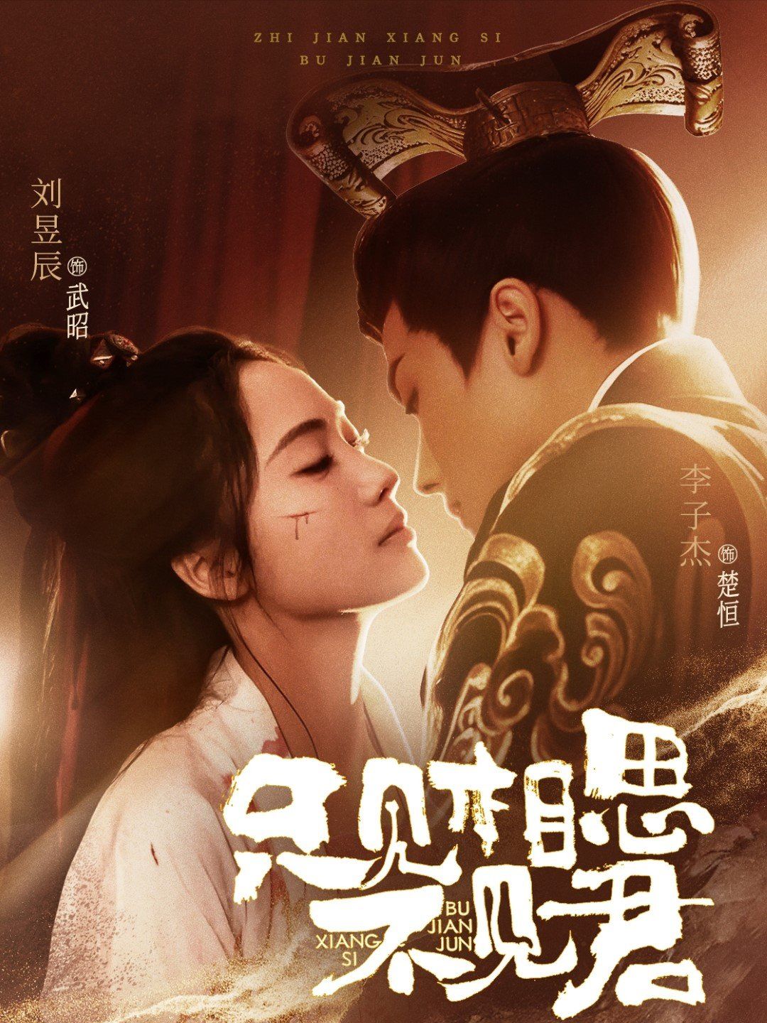 只见相思不见君 第1-20集