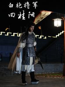 白袍将军回桂阳 第21-36集完结(大结局)