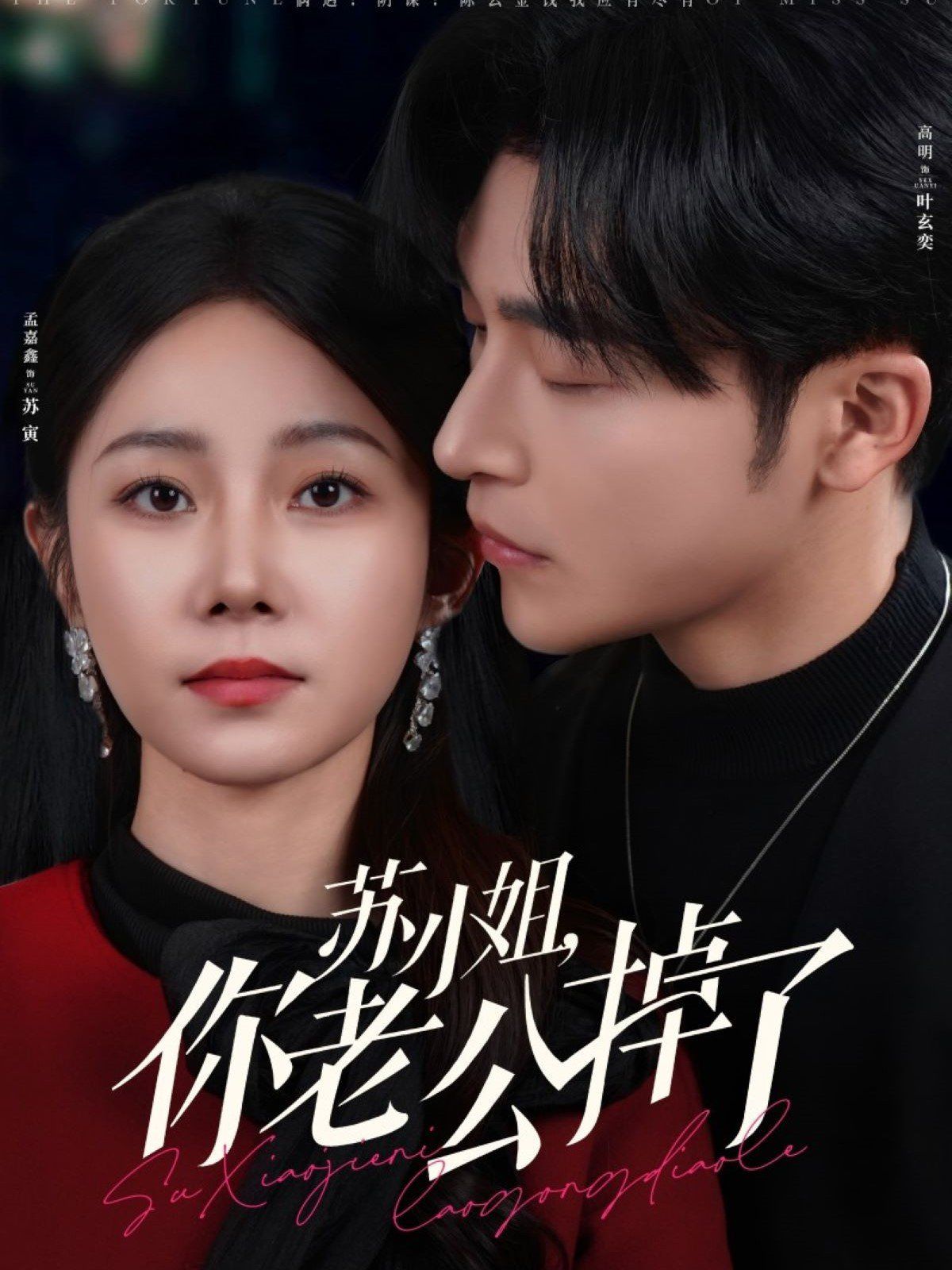 苏小姐你老公掉了 第1-20集