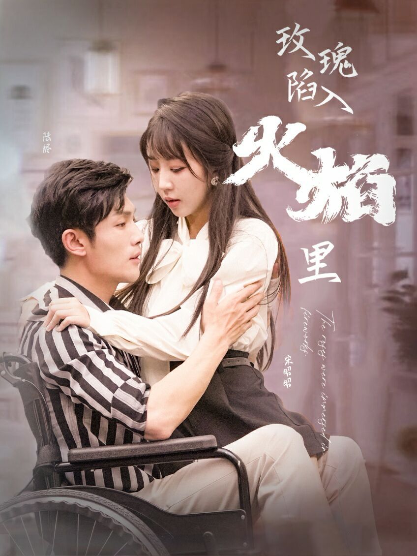 新玫瑰陷入火焰里 第21-40集