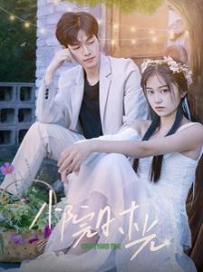 小院时光 第41-60集