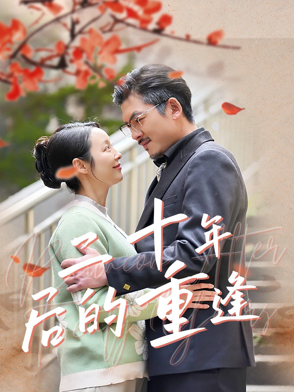 二十年后的重逢 第1-20集