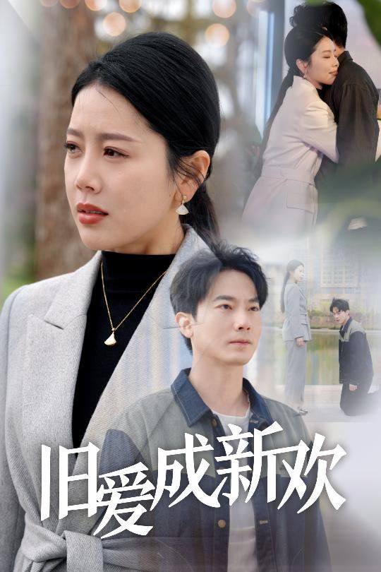 旧爱成新欢 第1-20集