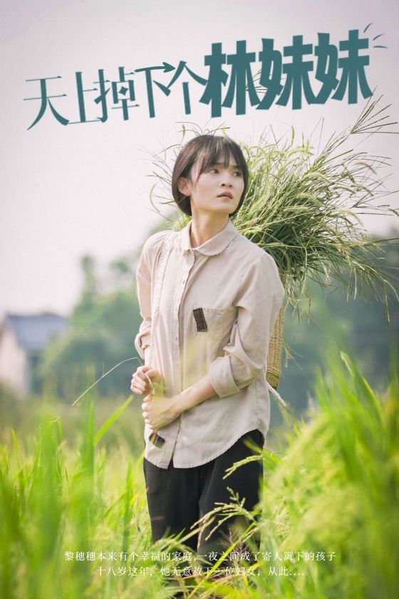天上掉下个林妹妹 第21-40集