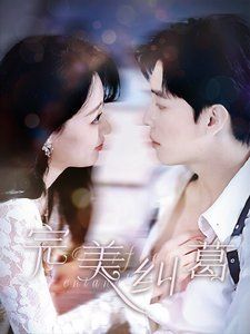 完美纠葛 第1-20集