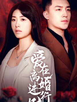 爱在离婚进行时 第41-61集完结(大结局)