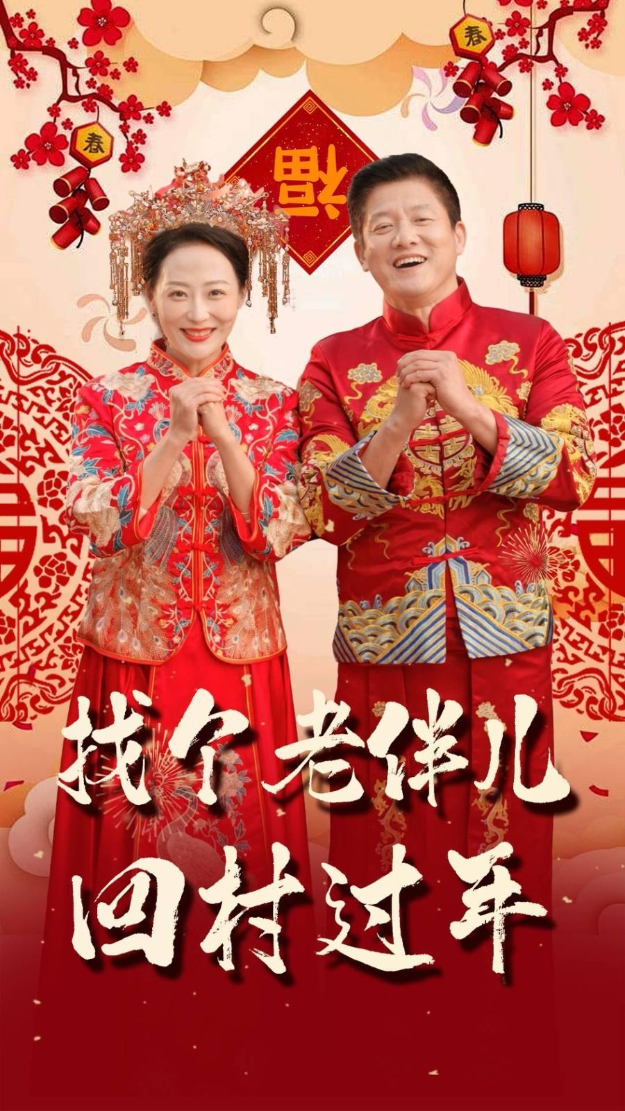 找个老伴儿回村过年 第1-20集